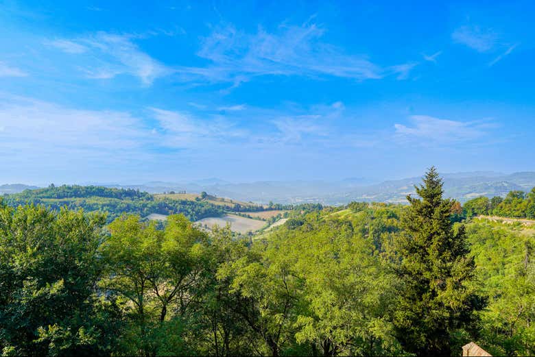 Il parco che circonda la basilica
