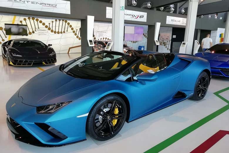 Uno splendido modello di colore blu elettrico