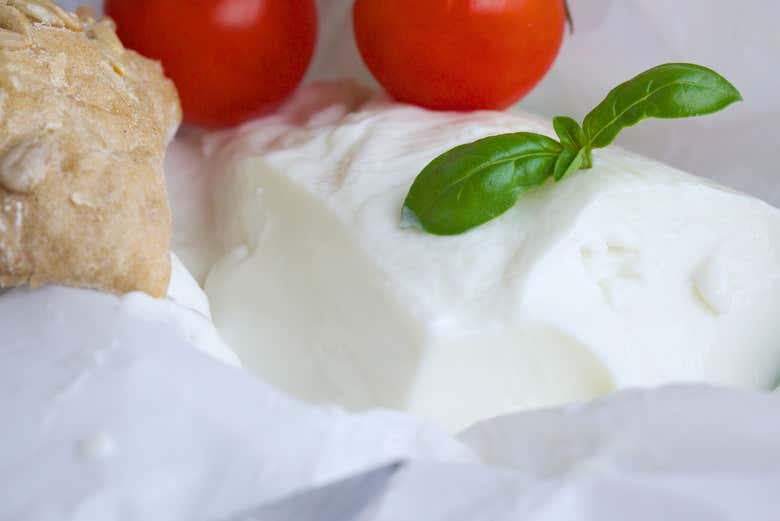 Degustação de queijo crescenza