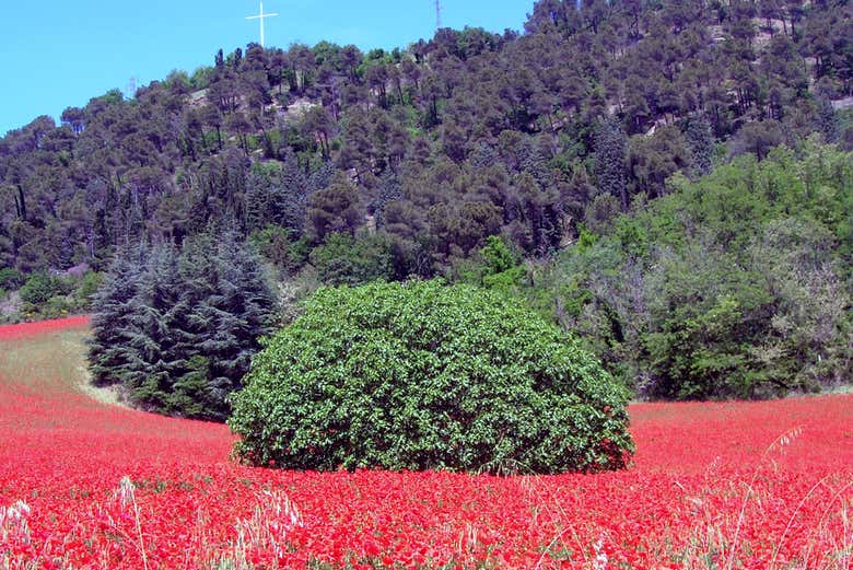 Admirez les paysages de Sasso Marconi