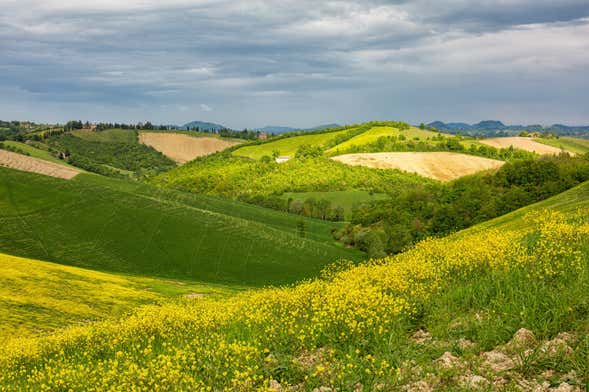 Tour privato dei colli bolognesi in Fiat 500