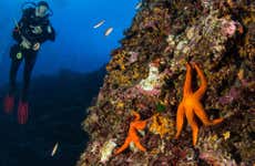 Bautismo de buceo en Bosa
