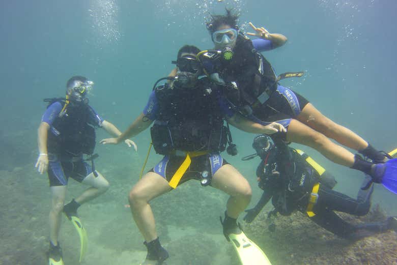Learn how to scuba dive
