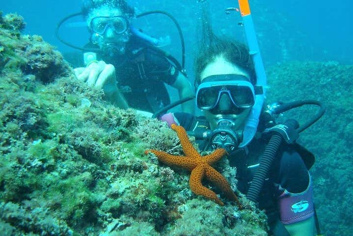 Admire incredible marine biodiversity