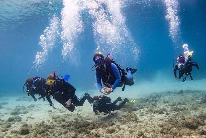 Explore the seabed