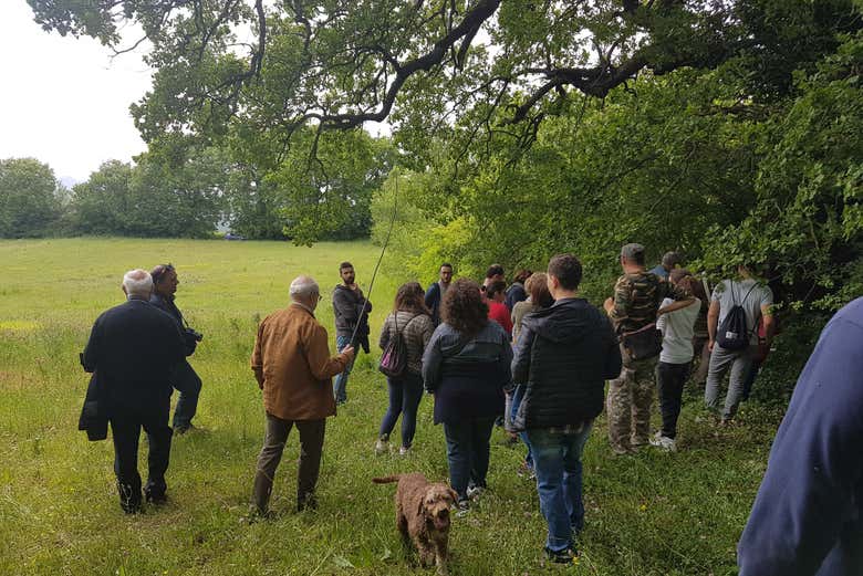 Hunt for truffles with us!