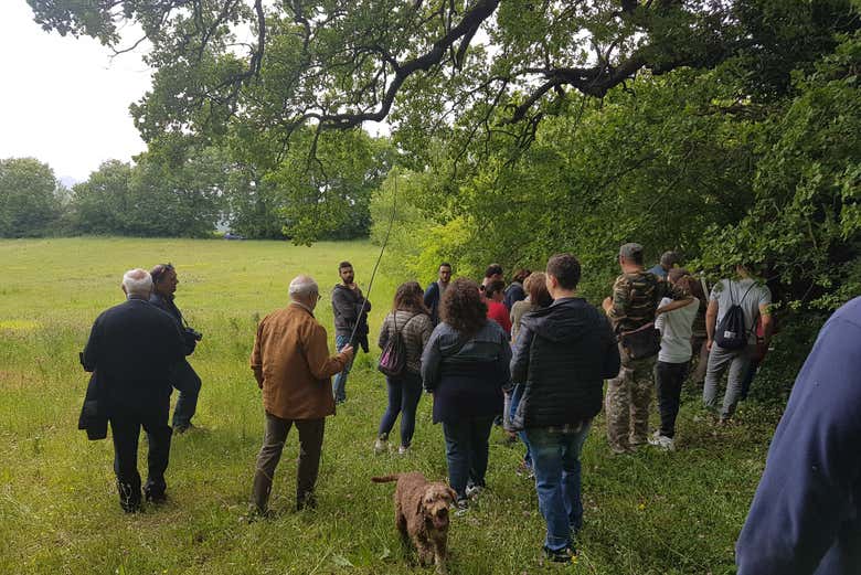 À la recherche de truffes dans la forêt