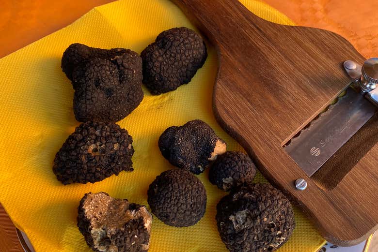 Tartufi appena raccolti