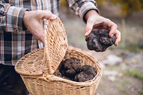 Tour del tartufo a Busso