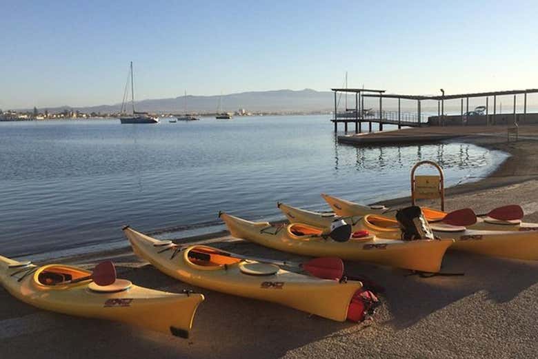 Kayaks