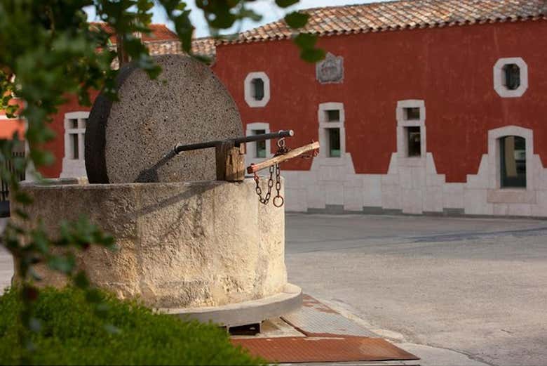 Domaine viticole Argiolas