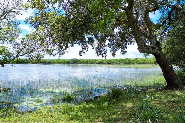 Découvrez Campidano, la vallée de la Marmilla et Giara