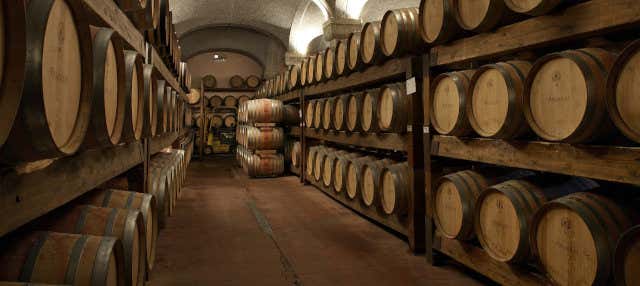 Argiolas Winery Trip