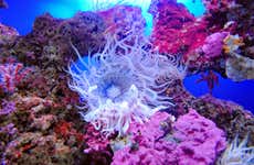 Biglietti per l'Acquario di Cala Gonone