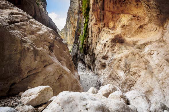 Excursión a la garganta Gorropu