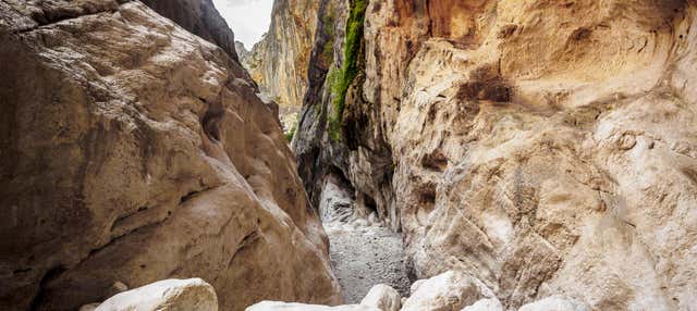 Gorropu Gorge Day Trip