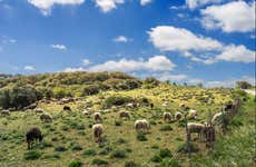 Excursão a uma granja típica da Sardenha