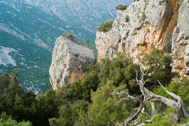 Un rocher du mont Tiscali