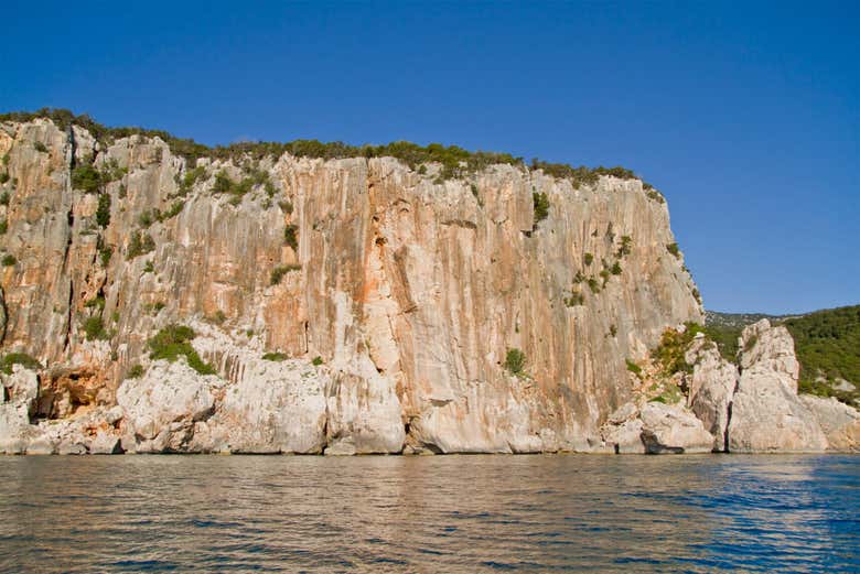 Pared ideal para rápel
