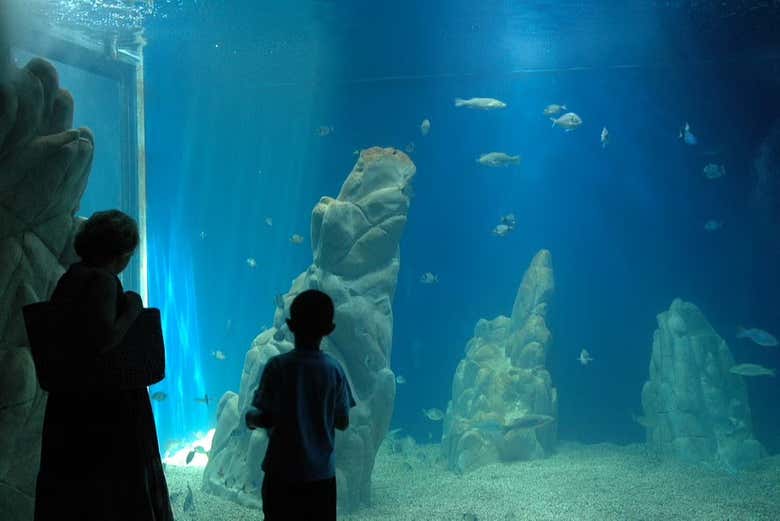 Visitez l'Aquarium de Cala Gonone