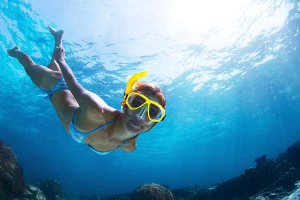 Snorkel no golfo de Orosei