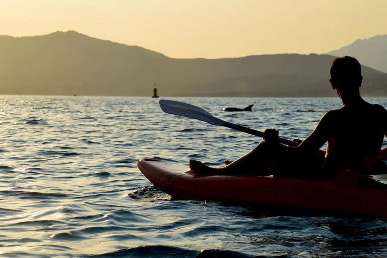 Enjoying the sunset kayak tour!