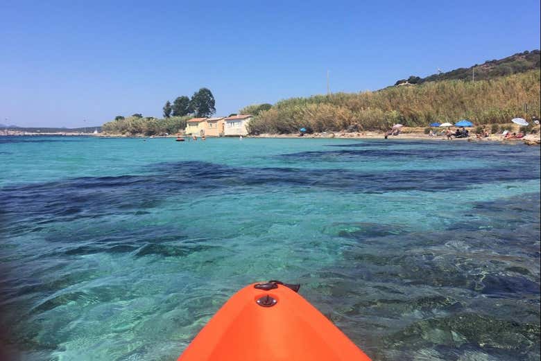 Exploring crystal-clear waters