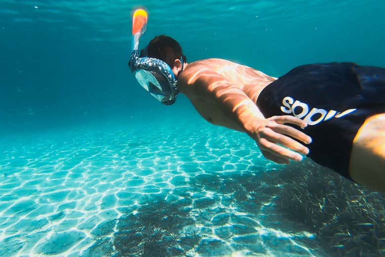 Get to know the rich seabed!