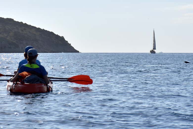 Enjoying the kayak tour!