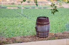 Visita a la bodega Valle delle Ferle con cata de vinos