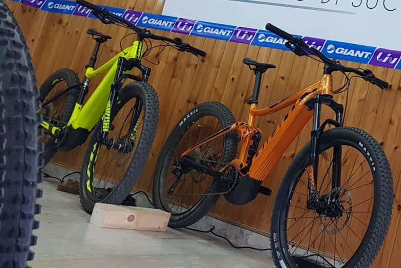 Bicicletas