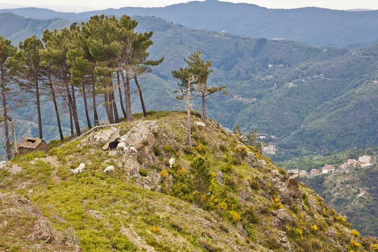 Colinas del Parque Nacional
