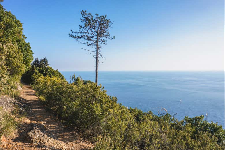 Admirando el mar de Liguria