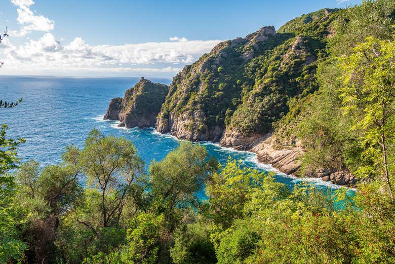 Parque Natural Regional de Portofino