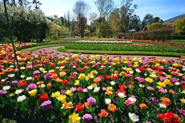 Giardini fioriti di Villa Taranto