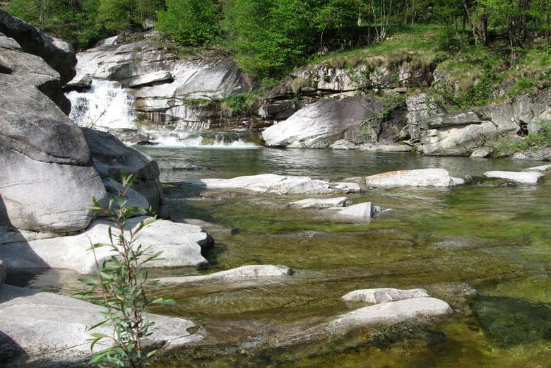 Admirez la rivière Toce