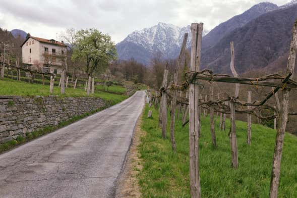 Senderismo por Montecrestese + Cata de vinos