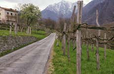 Senderismo por Montecrestese + Cata de vinos