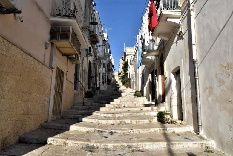 Recorriendo las calles de la ciudad