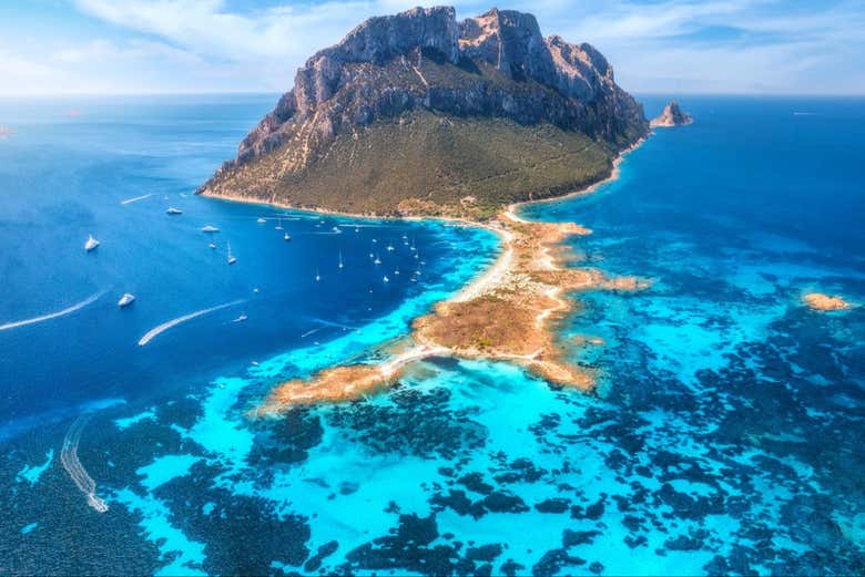 Île de Tavolara