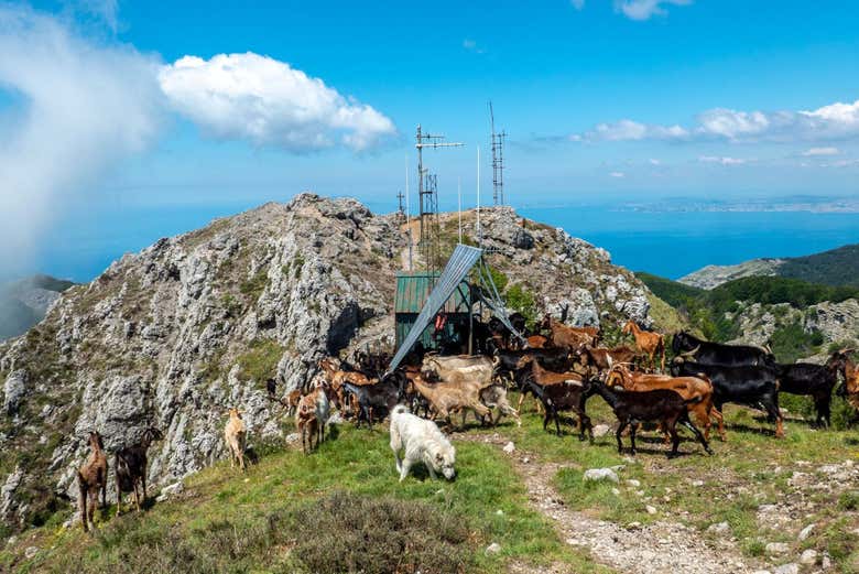 Make the most of your visit to Italy!