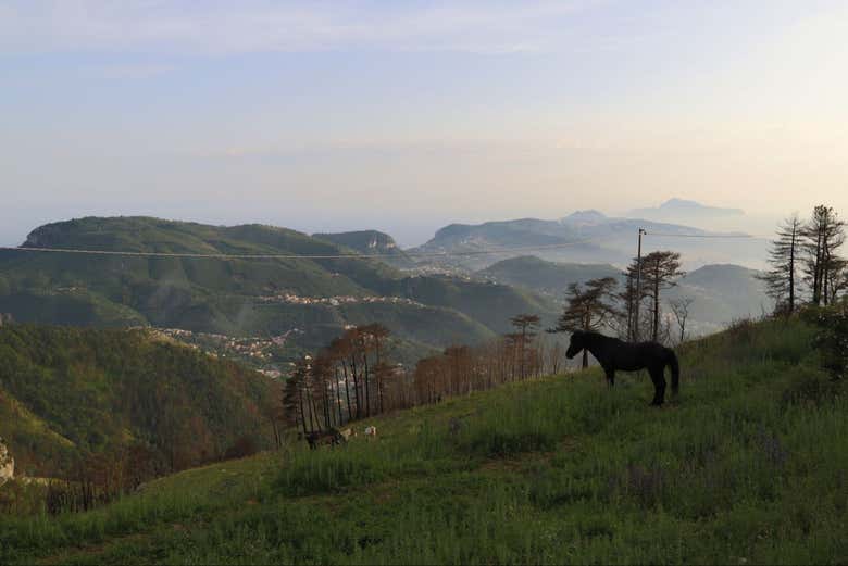 Soak up the stunning landscapes