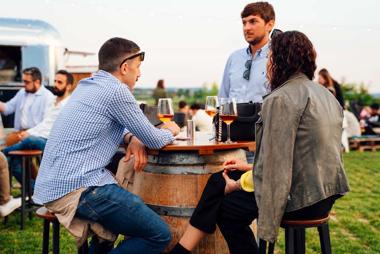 Dégustation de vin au milieu des vignes