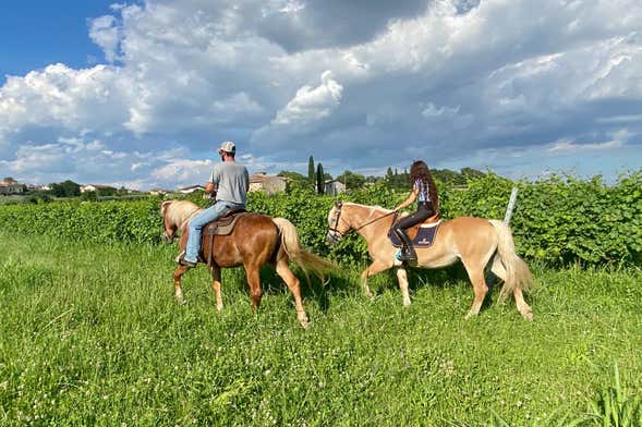Paseo a caballo por Lazise + Cata de vinos