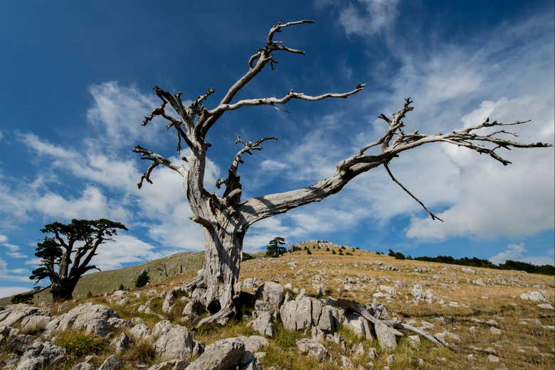 Parcours cycliste dans le Parc National du Pollino
