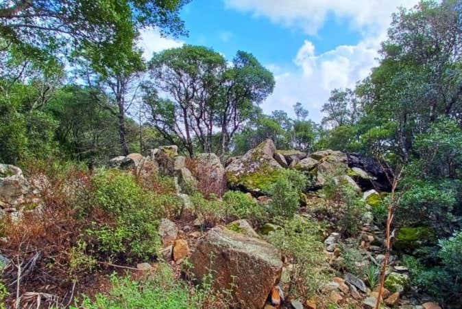 Végétation luxuriante dans le parc des Sette Fratelli