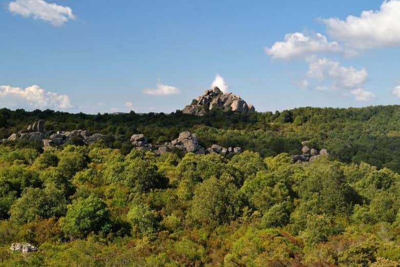 Appréciez la vue dans le parc des Sette Fratelli