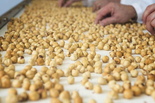 Hazelnut and Chocolate Tour