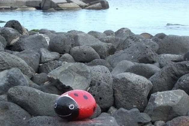 Une coccinelle faite avec une pierre
