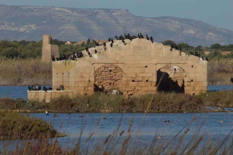 Come to the Vendicari Natural Reserve